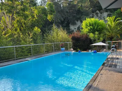 Garden with beautiful saltwater infinity pool