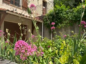 Private Garden Oasis in Var | Perfect for Events & Relaxation