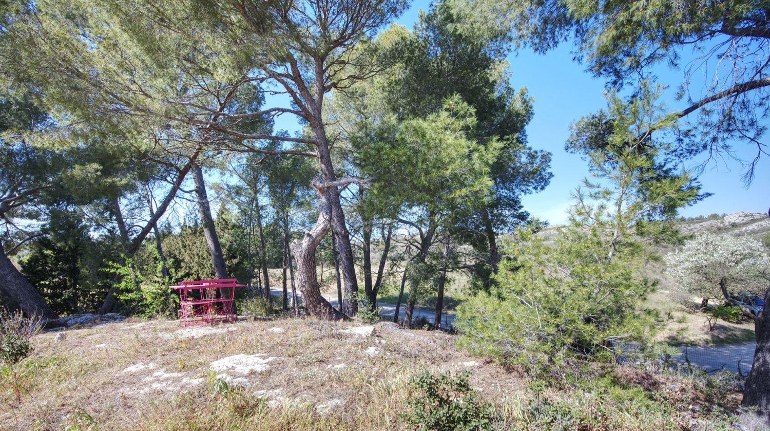 Mas in the Alpilles with swimming pool