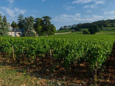 Burgundy Wine Estate: Authentic Venue for Events & Stays