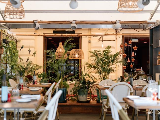 Restaurant Truffe & Champignon à Nice | Événements Privés & Gastronomie