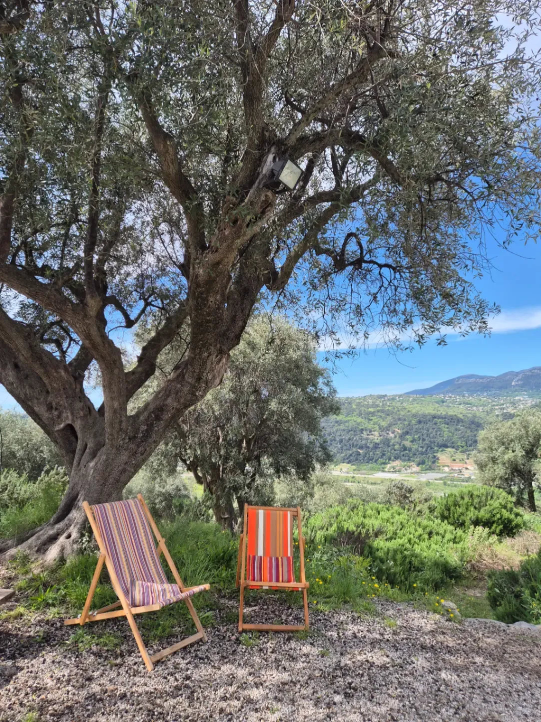 Countryside Venue Near Nice | Stunning Hills of Bellet Setting