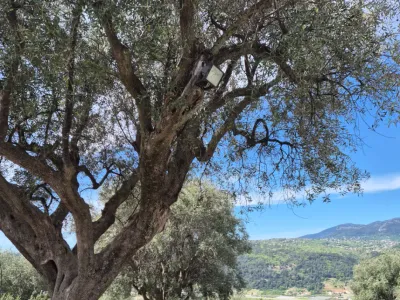 Countryside Venue Near Nice | Stunning Hills of Bellet Setting