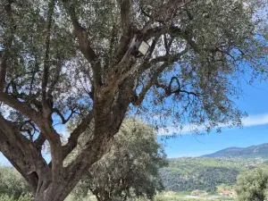Countryside Venue Near Nice | Stunning Hills of Bellet Setting