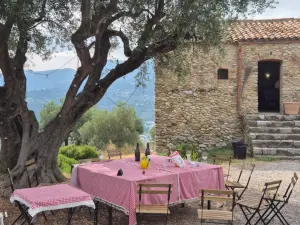 Countryside Venue Near Nice | Stunning Hills of Bellet Setting