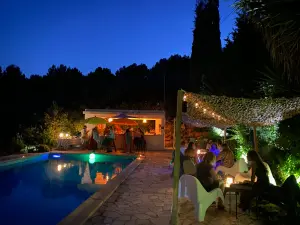 Piscine Privée & Jardin à Solliès-Pont | Vue sur les Vignes