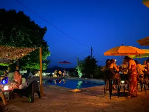Piscine Privée & Jardin à Solliès-Pont | Vue sur les Vignes