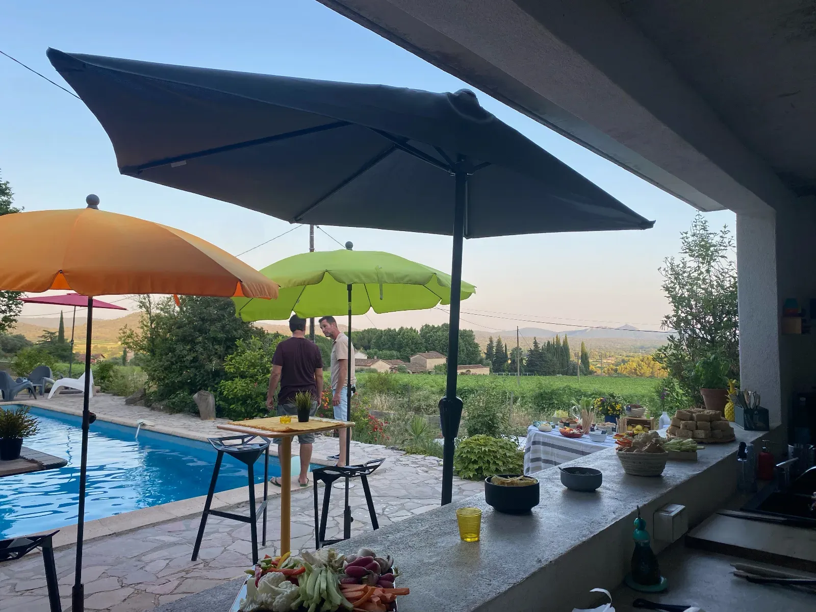 Piscine Privée & Jardin à Solliès-Pont | Vue sur les Vignes
