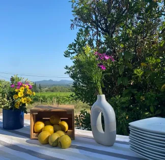 Private Pool & Garden Venue in Solliès-Pont | Vineyard Views