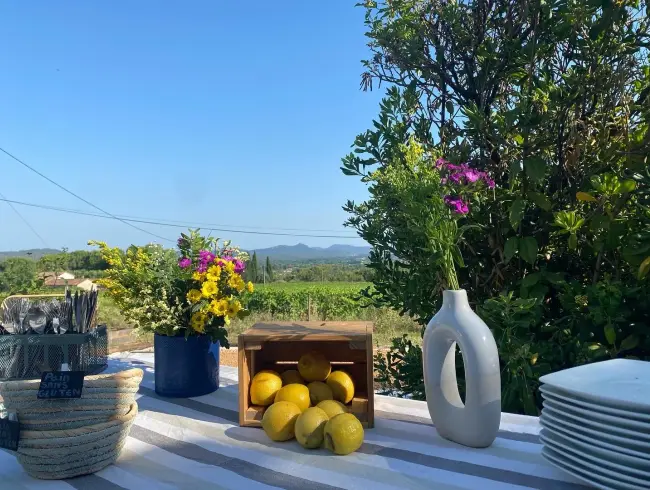 Piscine Privée & Jardin à Solliès-Pont | Vue sur les Vignes