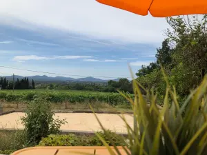 Private Pool & Garden Venue in Solliès-Pont | Vineyard Views