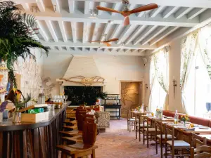 Seasonal Dining in Barbizon | Artful Cuisine & Natural Light