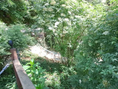 Charming Villa in Cévennes with Mountain Views & River Access