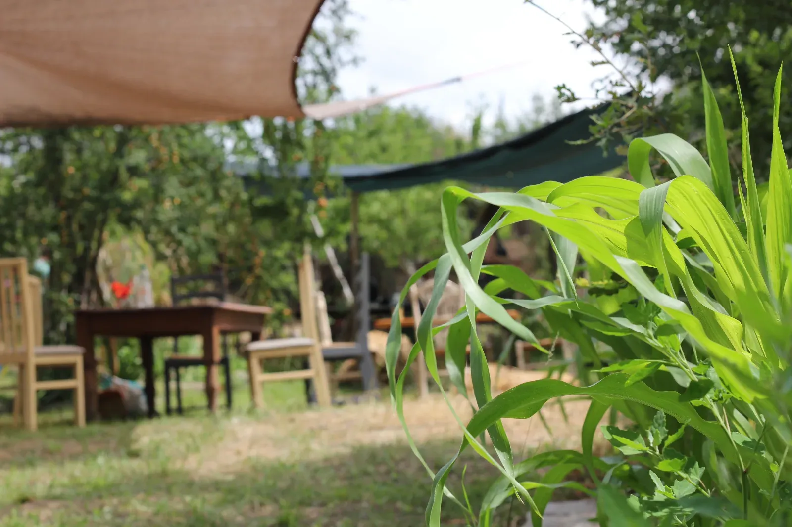 Lieu de retraite dans la nature à Estoher avec vue sur les montagnes et espaces événementiels