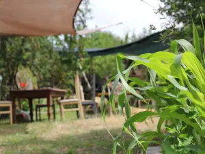 Lieu de retraite dans la nature à Estoher avec vue sur les montagnes et espaces événementiels