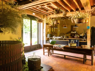 Charming Sologne Farmhouse Venue for Events & Getaways