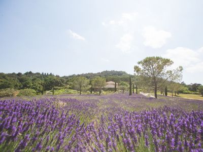 Stunning Domaine in the Mandelieu Hills