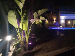 Elegant Villa with Pool & Sea View | Exclusive Events in Nice
