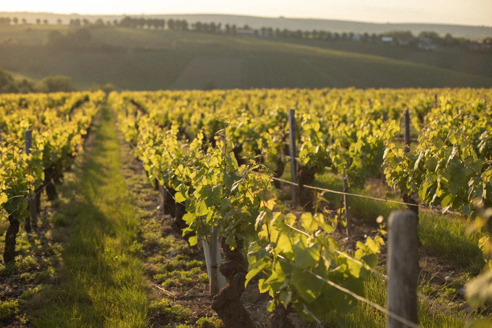 Rustic Sancerre Countryside House for Events & Vacations