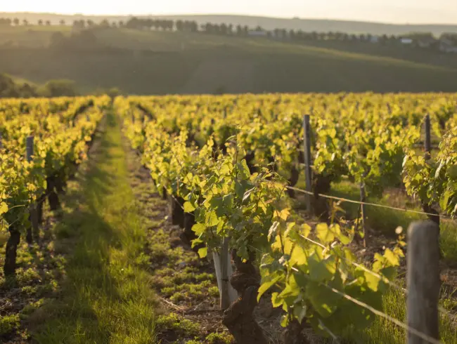 Rustic Sancerre Countryside House for Events & Vacations
