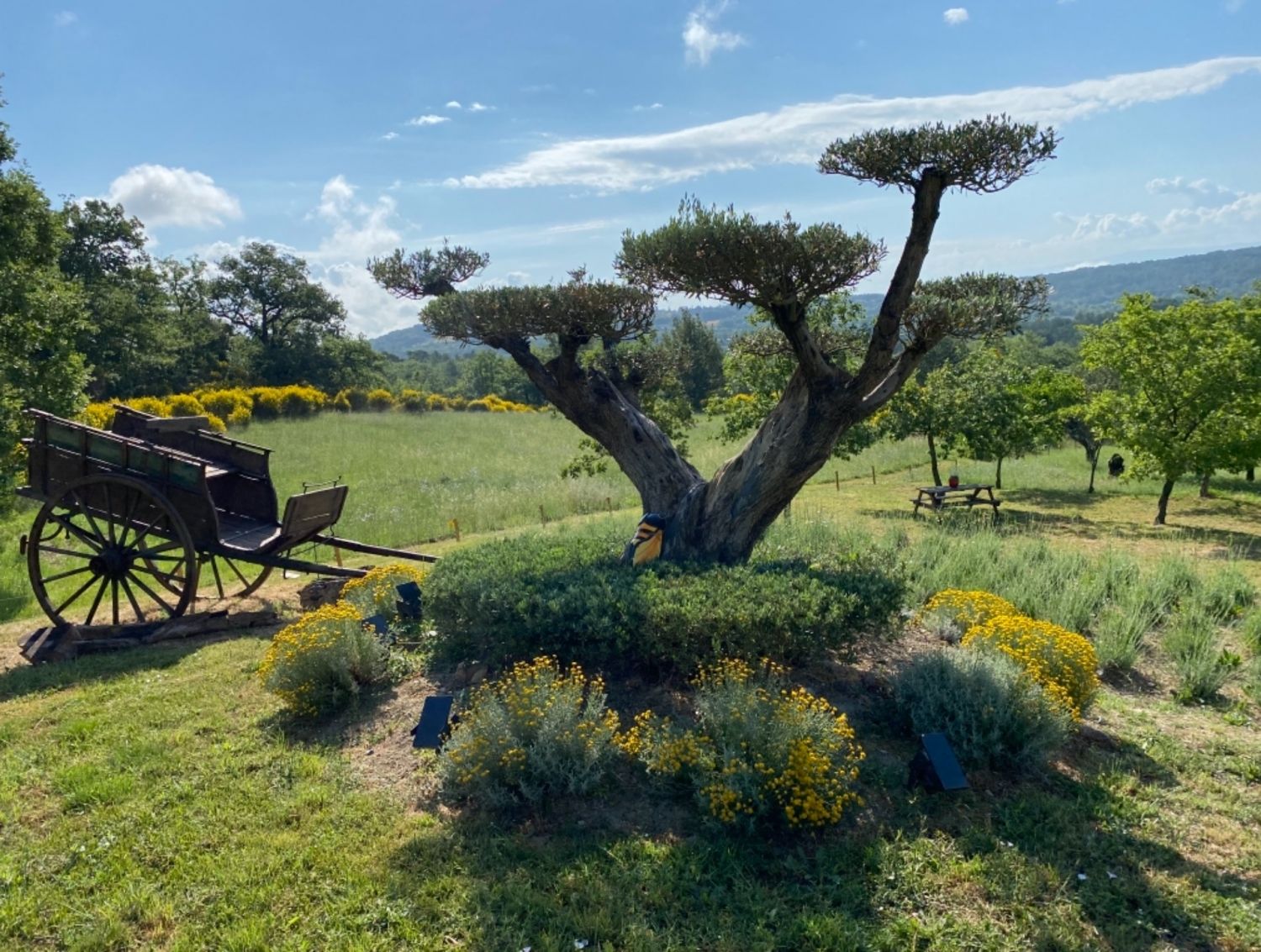Authentic Provencal Bastide in the Luberon for Events & Vacation