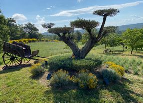 Provencal Bastide perfect for photoshoots, filming, meetings or retreats