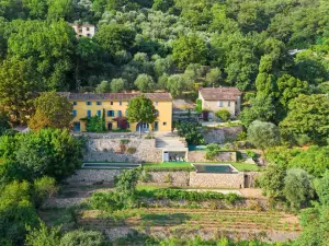 Domaine Grasse : Bastide du XVIIIe Siècle avec Jardins Parfumés