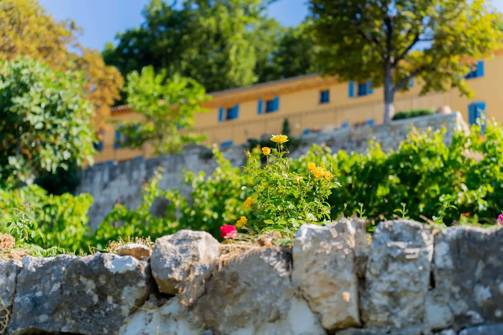 Domaine Grasse : Bastide du XVIIIe Siècle avec Jardins Parfumés