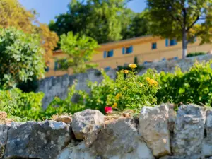 Domaine Grasse : Bastide du XVIIIe Siècle avec Jardins Parfumés
