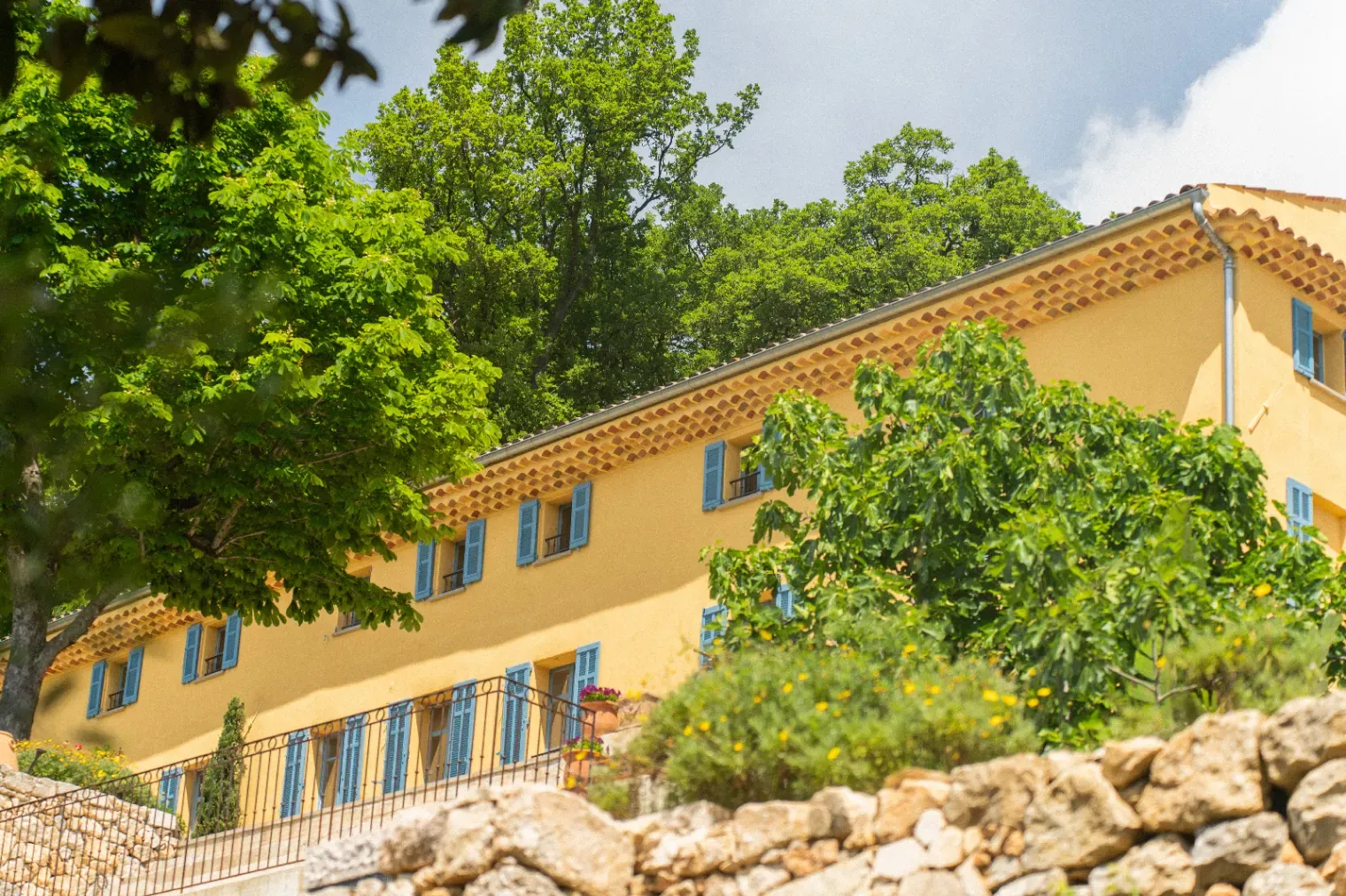 Domaine Grasse : Bastide du XVIIIe Siècle avec Jardins Parfumés