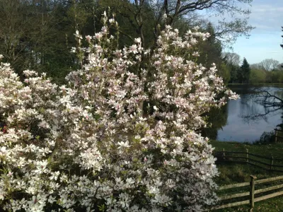 Nature Estate in Brocéliande : A 10-Hectare Retreat Near Rennes for Events & Immersive Workshops