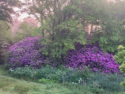 Nature Estate in Brocéliande : A 10-Hectare Retreat Near Rennes for Events & Immersive Workshops