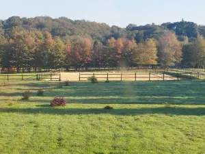 Unique Architect-Designed Event Venue with Garden & Pond near Nantes