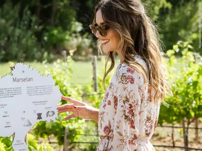 Family Estate with Vineyard & Lavender Fields for Private Events