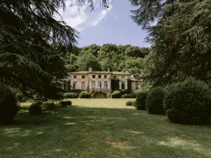 Domaine Viticole en Gironde