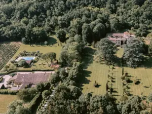 Domaine Viticole en Gironde