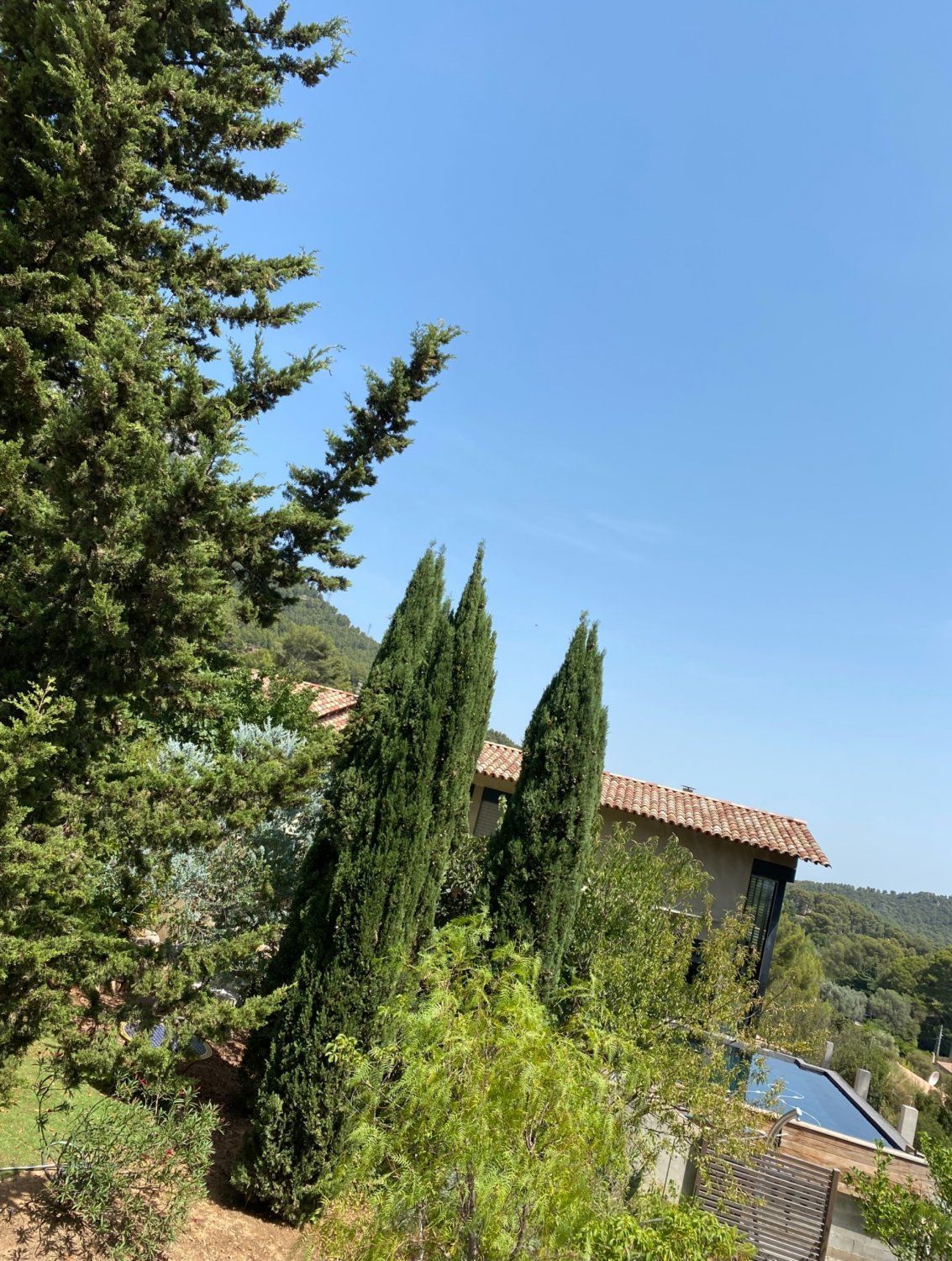 Terrasses en bois avec piscine 