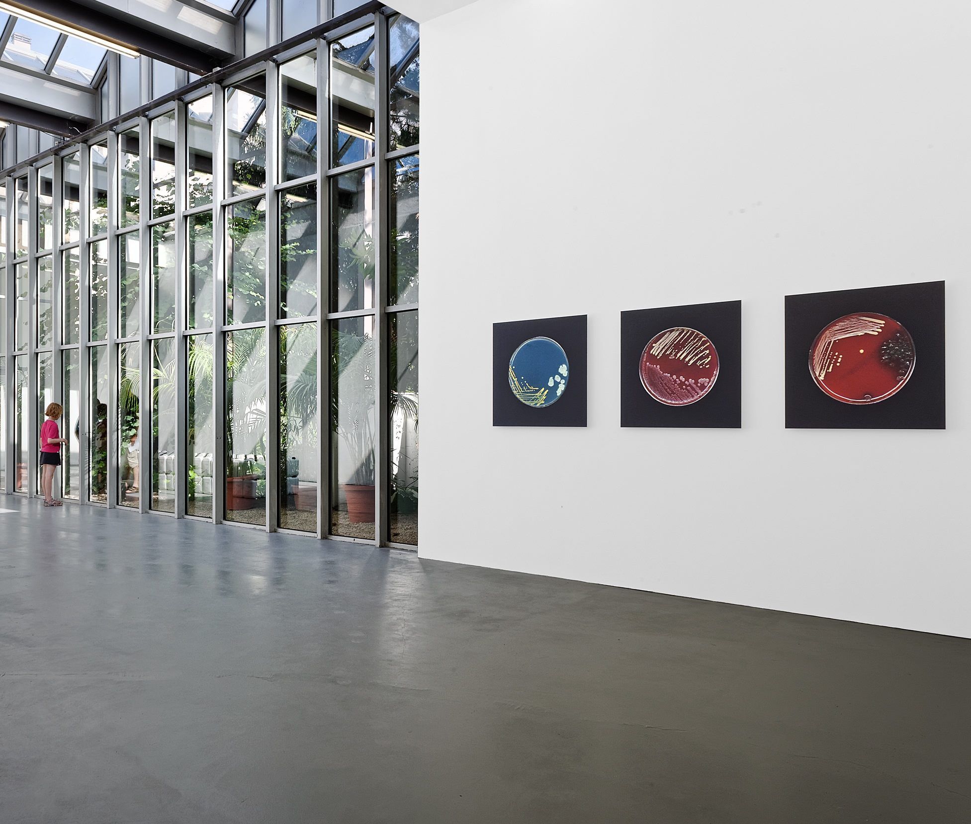 Artistic Space for Professional Events in Villeurbanne