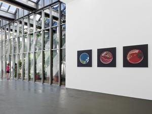 Artistic Space for Professional Events in Villeurbanne