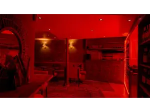 Festive Restaurant in Paris: Elegant Dining & Party Atmosphere