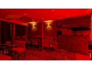Festive Restaurant in Paris: Elegant Dining & Party Atmosphere
