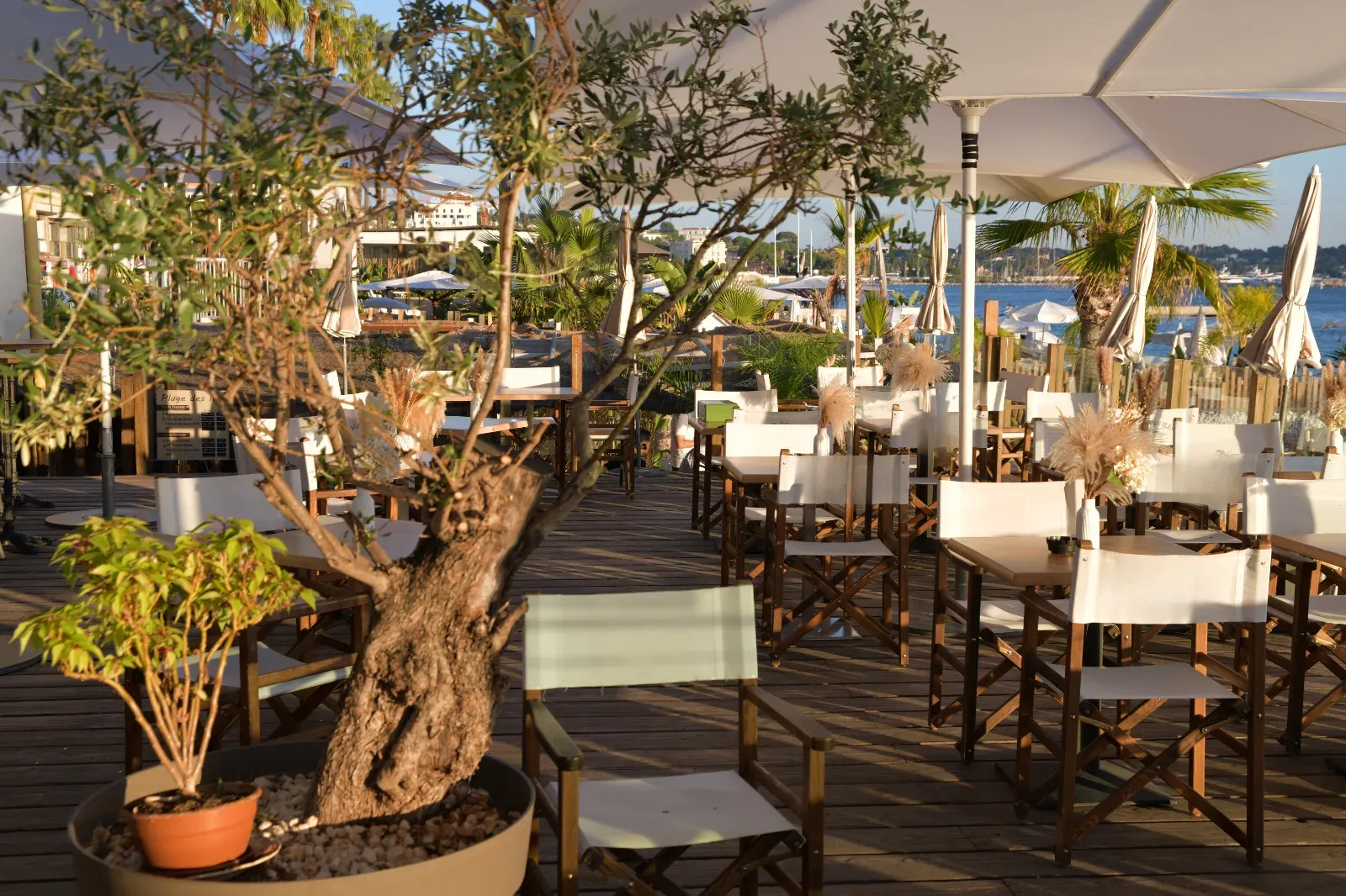 Plage Privée Exclusive à Juan-les-Pins | Lieu d'Événements Élégant