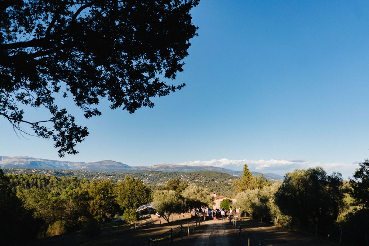 Charming Provençal estate near Cannes and Grasse