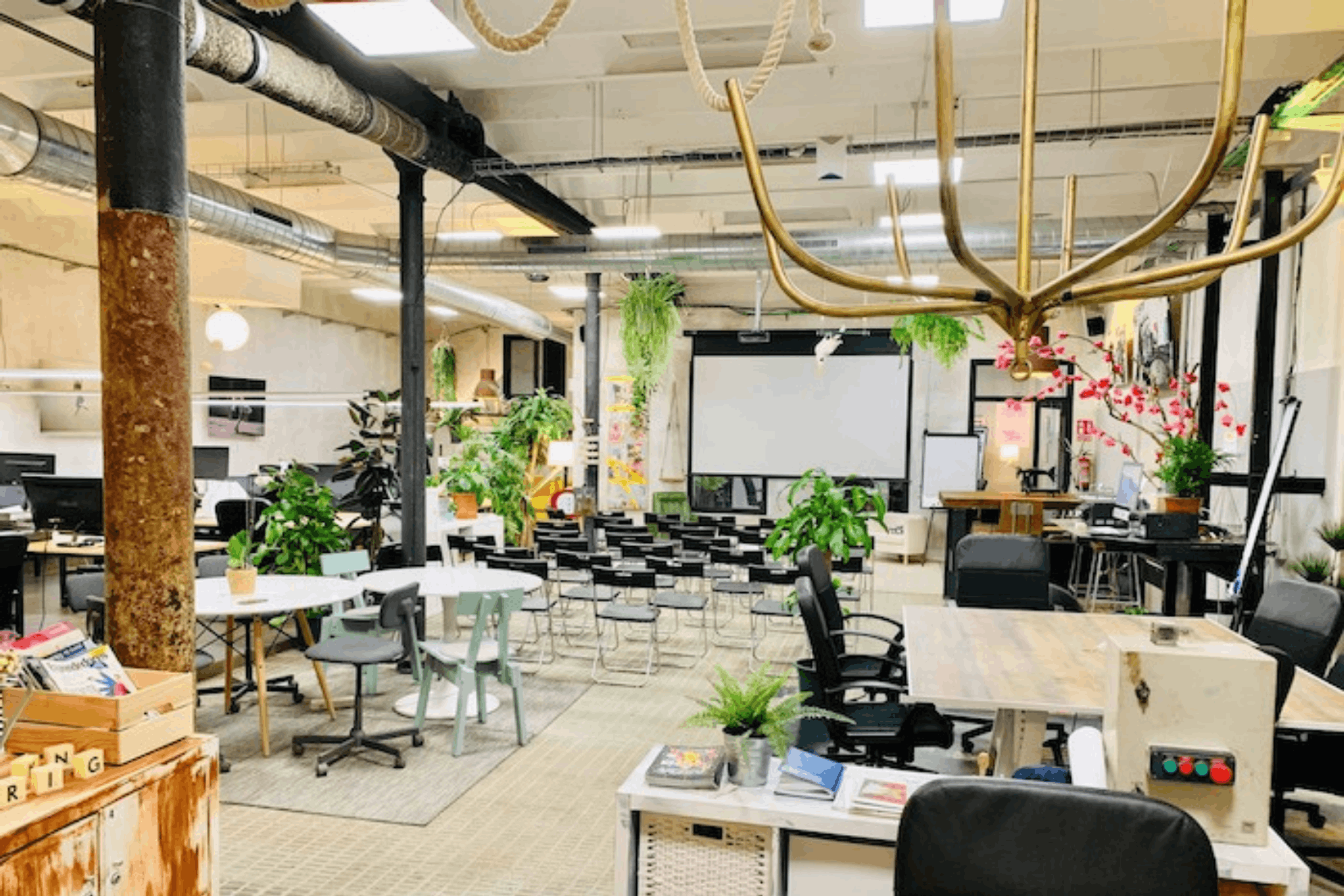 Main Space 