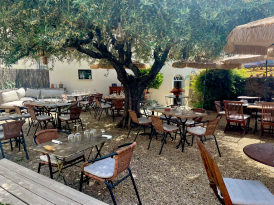 Enclosed Garden with Olive Tree for Events up to 70 People