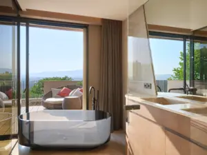 Domaine Exceptionnel de Villa avec Oliviers et Vues Panoramiques près de Mougins