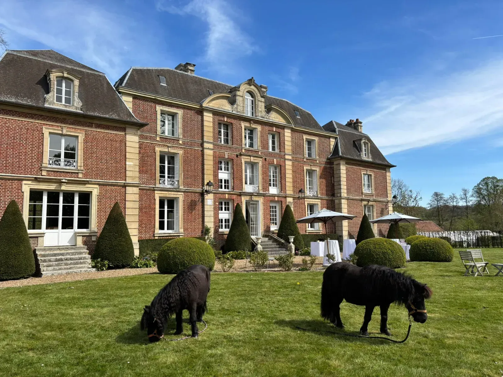 Salons de récéption du Château