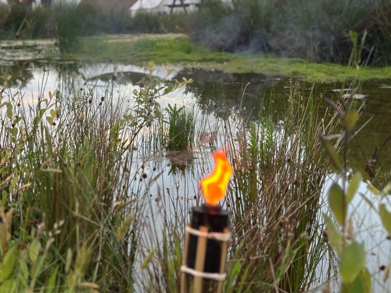 10-Acre Sussex Countryside Glamping Retreat with Sauna & Outdoor Kitchen