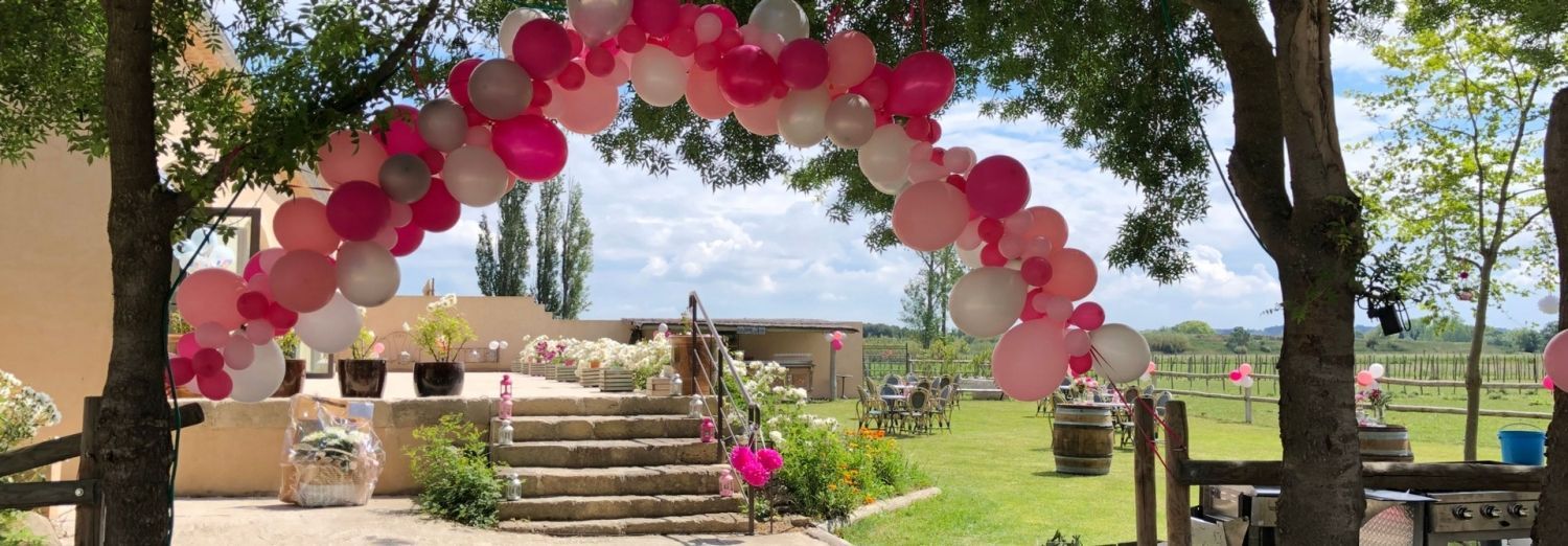 Reception room facing the Alpilles in the countryside
