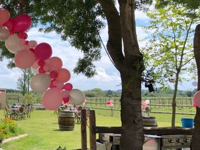 Salle de réception face au Alpilles en campagne
